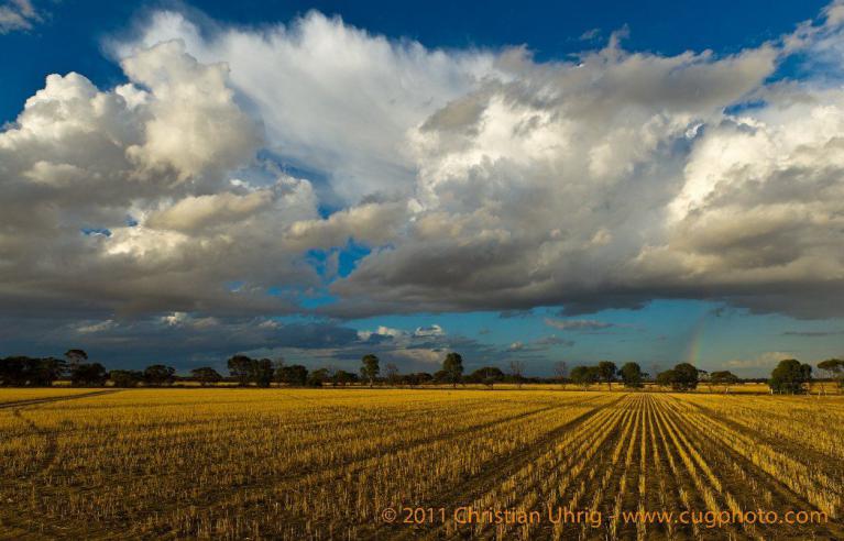 Meredin field with storm clouds